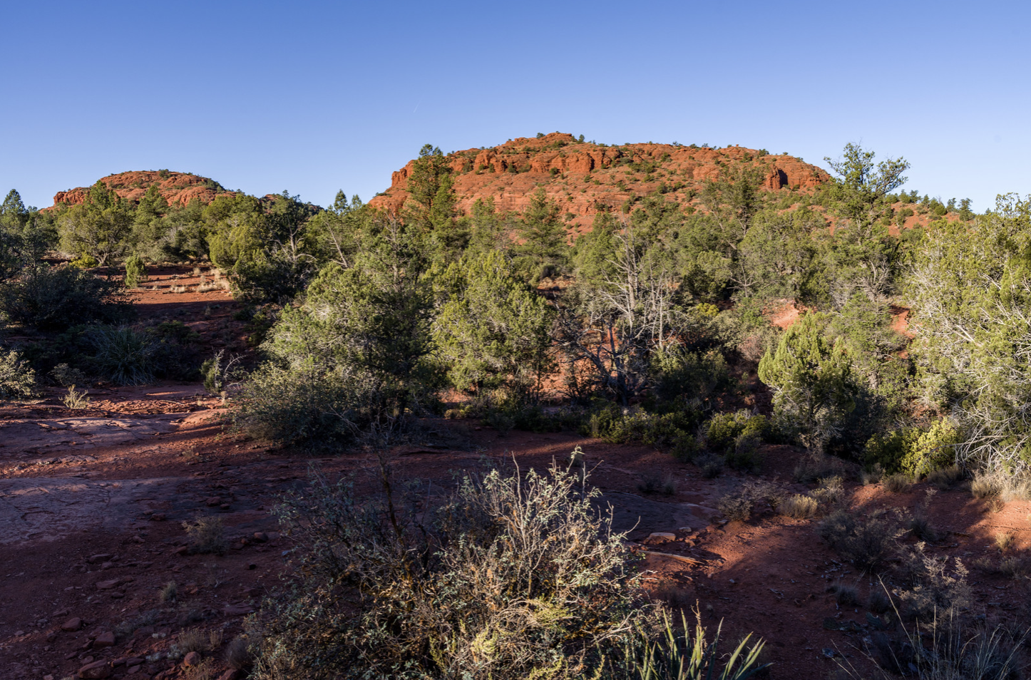 <h3>Turkey Creek Trail</h3>“>                                                </div>                <div class=