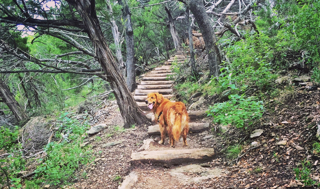 <h3>River Place Nature Trail</h3>“>                                                </div>                <div class=