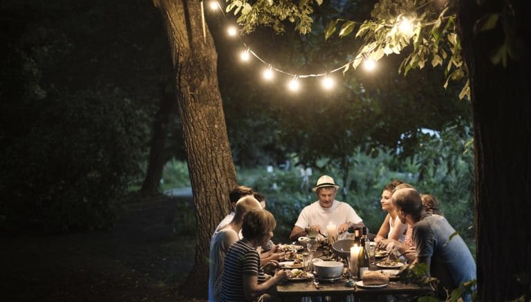 Family Dinner in The Garden