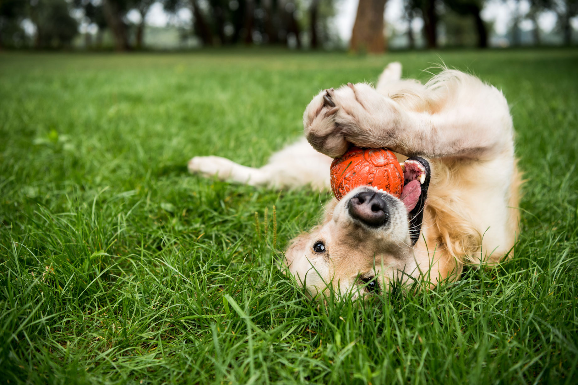 AdobeStock_250628313