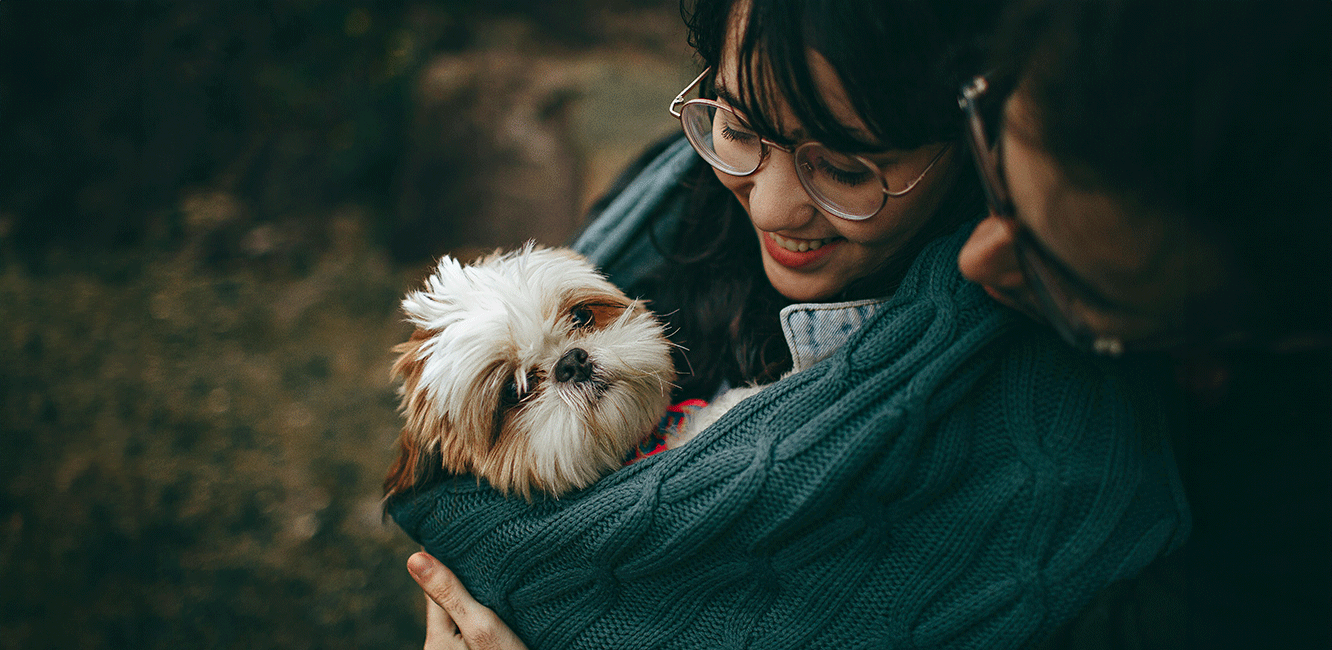 pexels-helenalopes-1378849